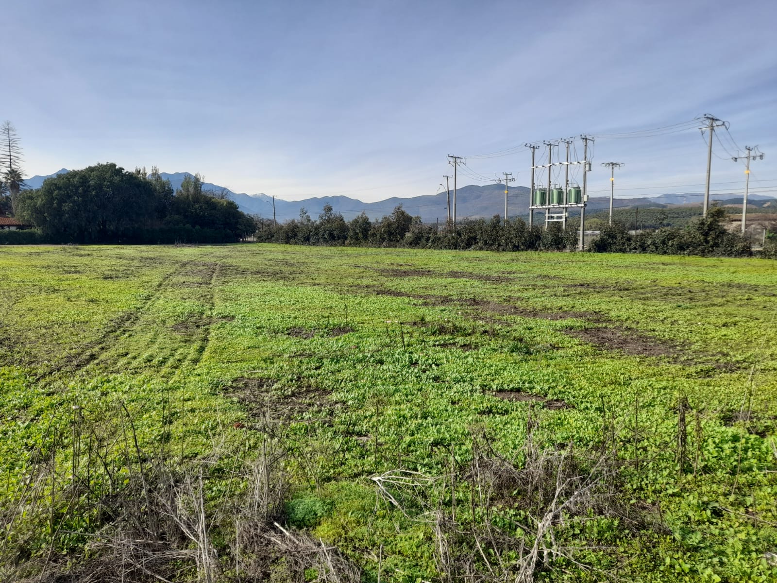 Foto 3 de Venta de Parcela en San Pedro, Quillota