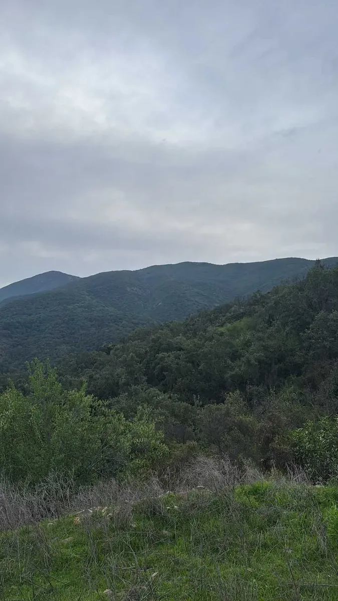 Foto 4 de Parcela Quebrada Del Ají, Quillota