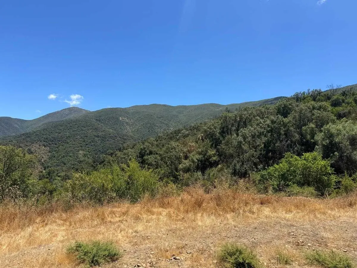 Foto 2 de Parcela Quebrada Del Ají, Quillota