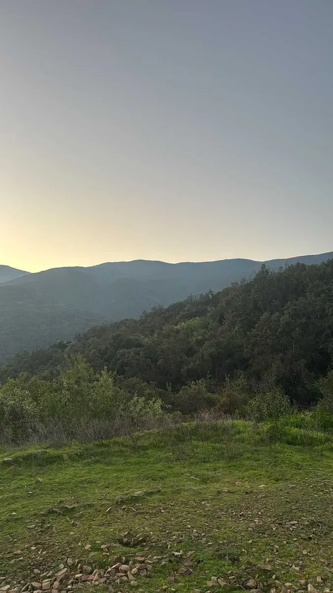 Foto 6 de Parcela Quebrada Del Ají, Quillota