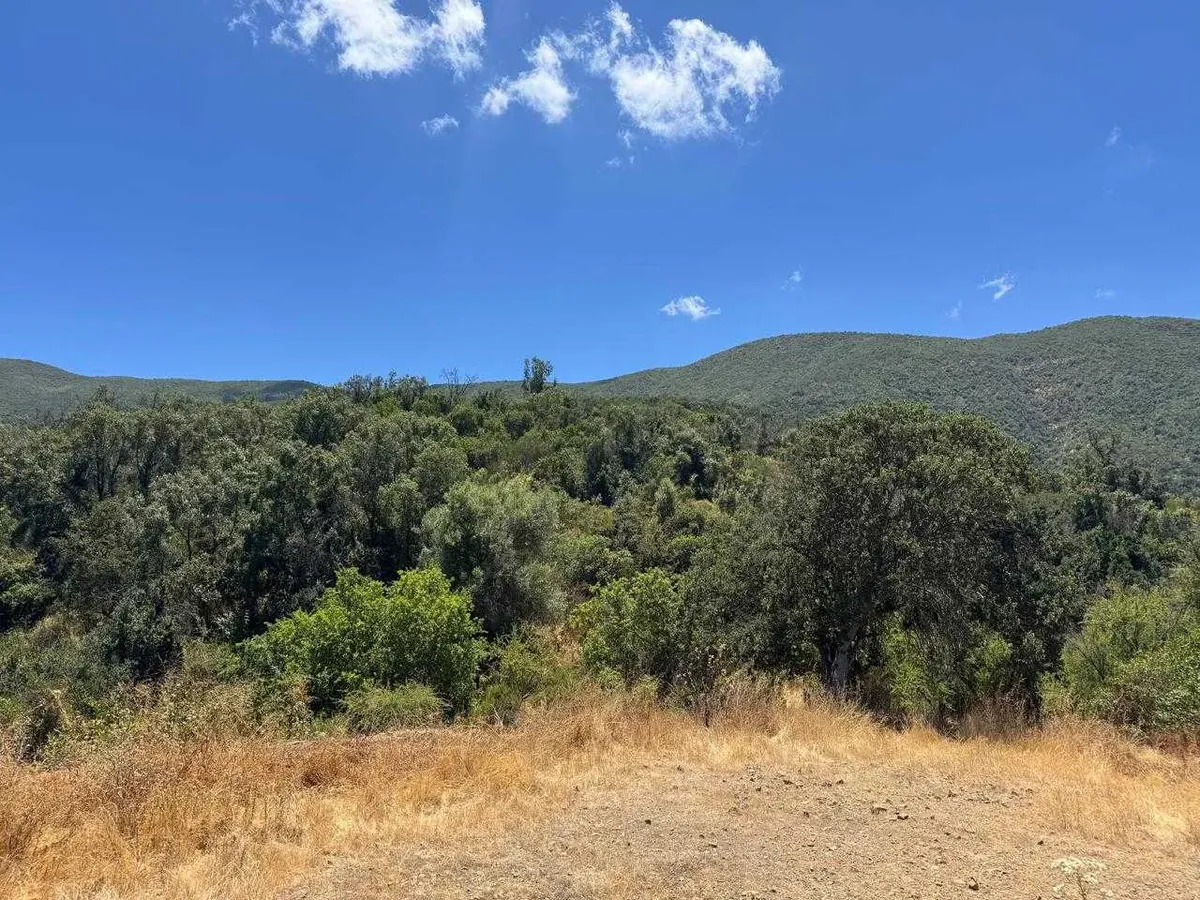 Foto 7 de Parcela Quebrada Del Ají, Quillota