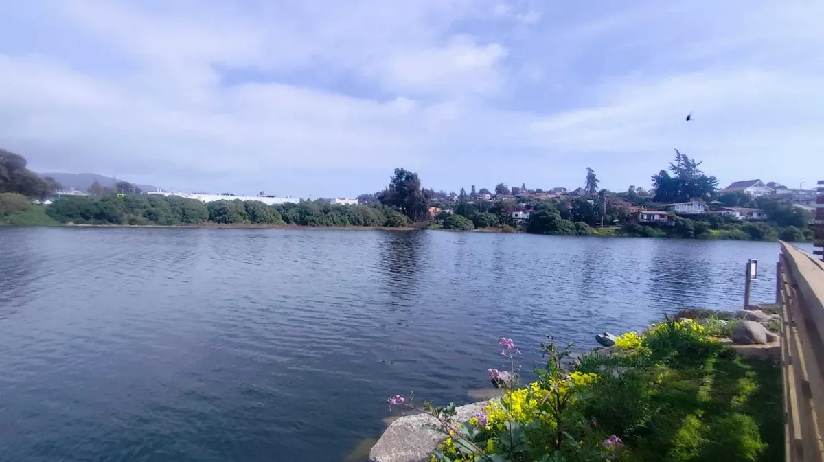 Foto 20 de Venta De Casa Laguna De Zapallar