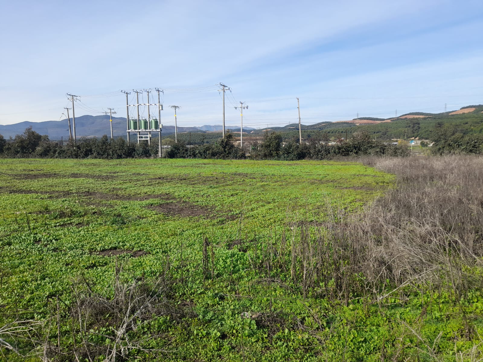 Foto 8 de Venta de Parcela en San Pedro, Quillota