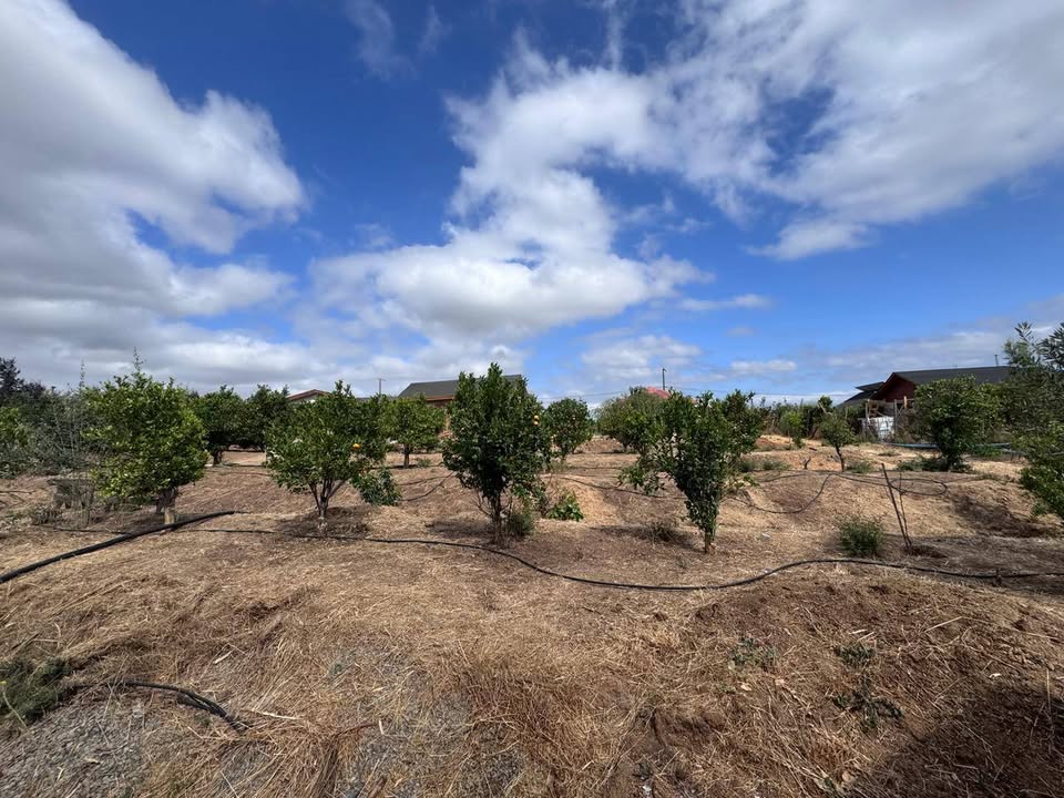 Foto 12 de Arrienda casa amoblada San Pedro, sector Rinconada, Quillota