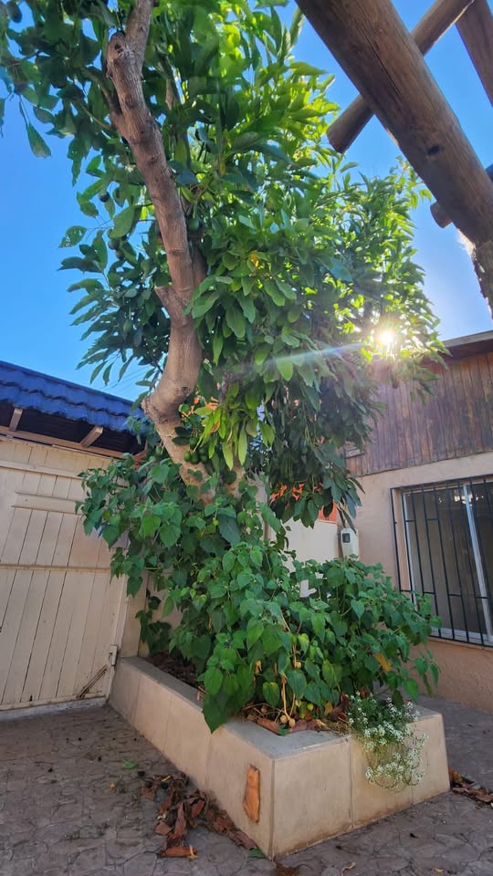 Foto 4 de Casa en arriendo en El Retoño, Quillota